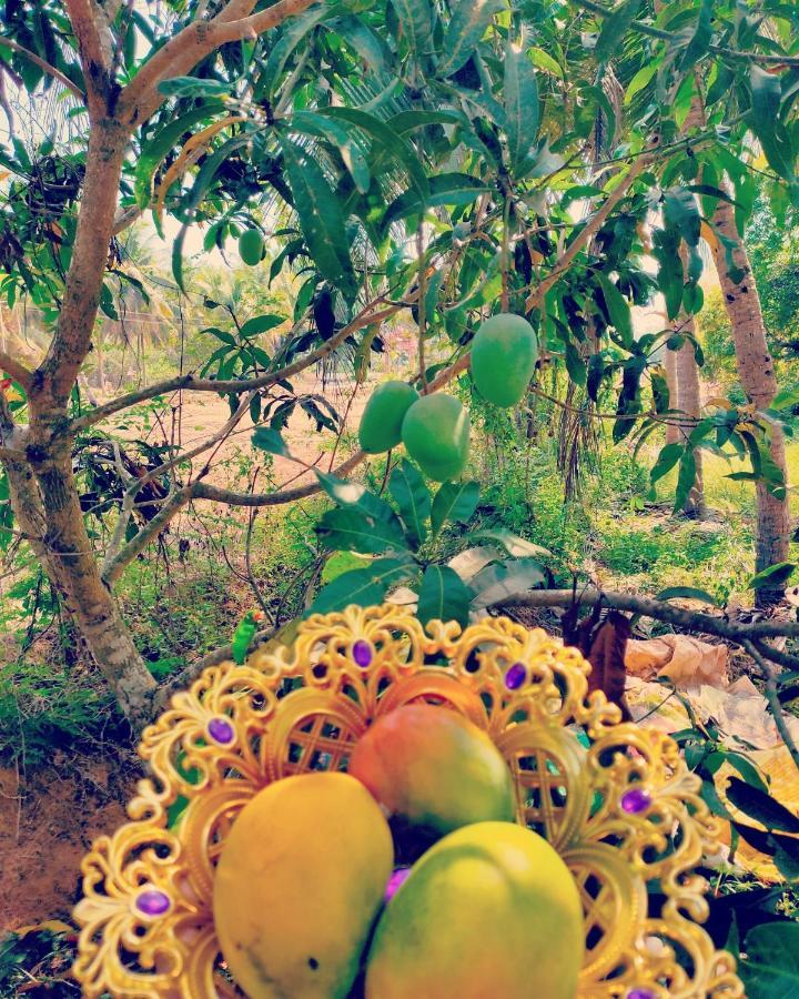 The Big Pineapple Estate Villa Udupi Exterior photo