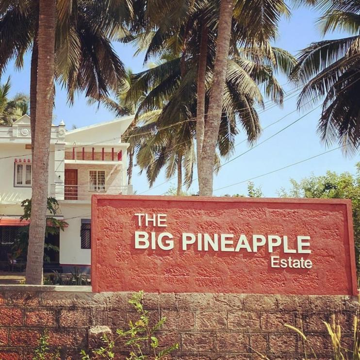The Big Pineapple Estate Villa Udupi Exterior photo